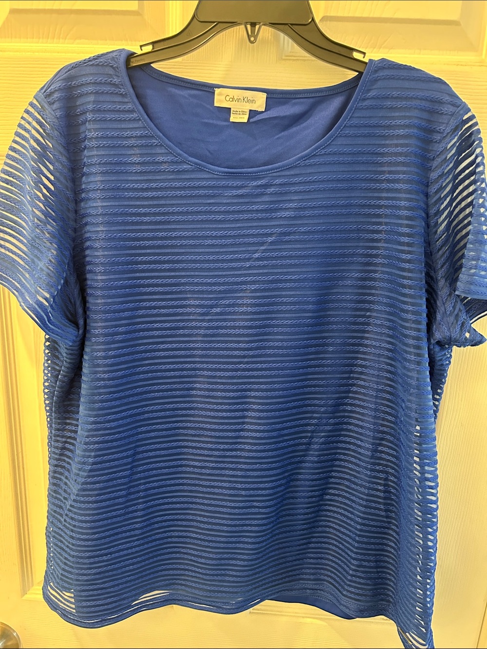 Calvin Klein Sheer Stripe Short Sleeve Tee in Blue